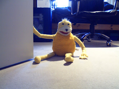 Pesta gay north face