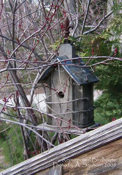 [birdhouse_spring2008.jpg]