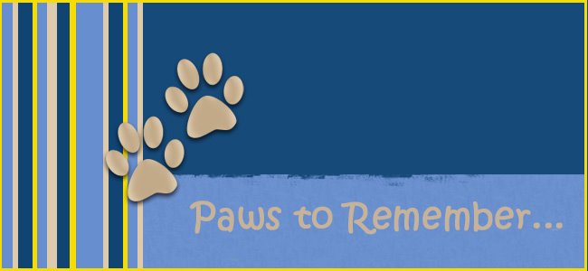 Paws to Remember