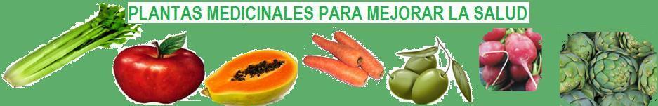 Remedios Naturales para la Vida - Salud con Pantas Medicinales