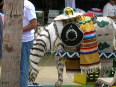 [DSCN0680.jpg]