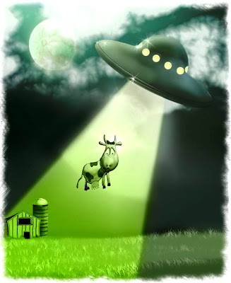 Abduction de vache