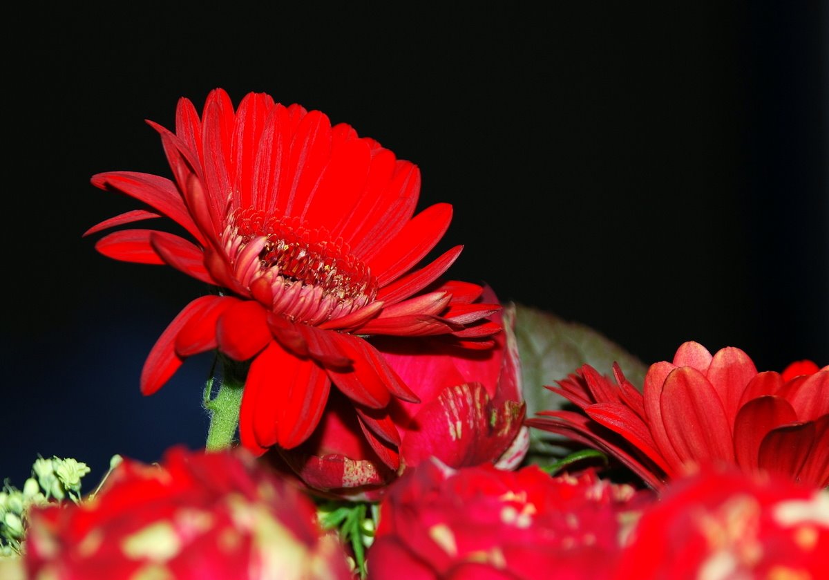 [5.11..2008+004.jpg]