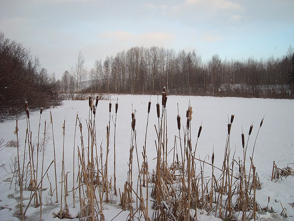 [4.1.2009+pikkunikonilla+(11).jpg]