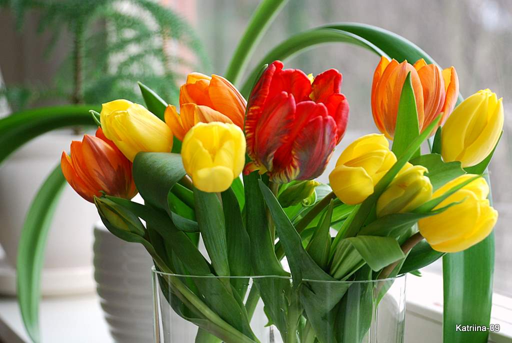 [6.4.2009+042-1.jpg]