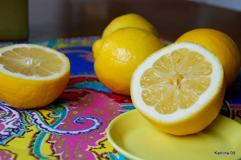 [5.4.2009+010-1.jpg]