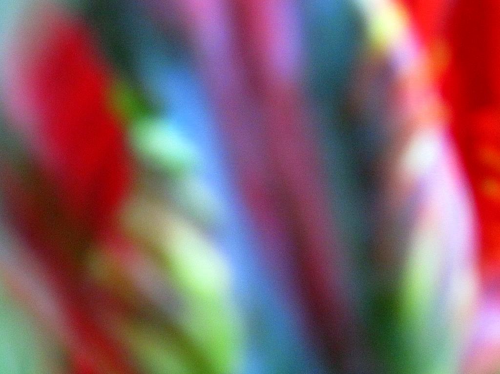 [5.4.2009++ixus+050-1.jpg]