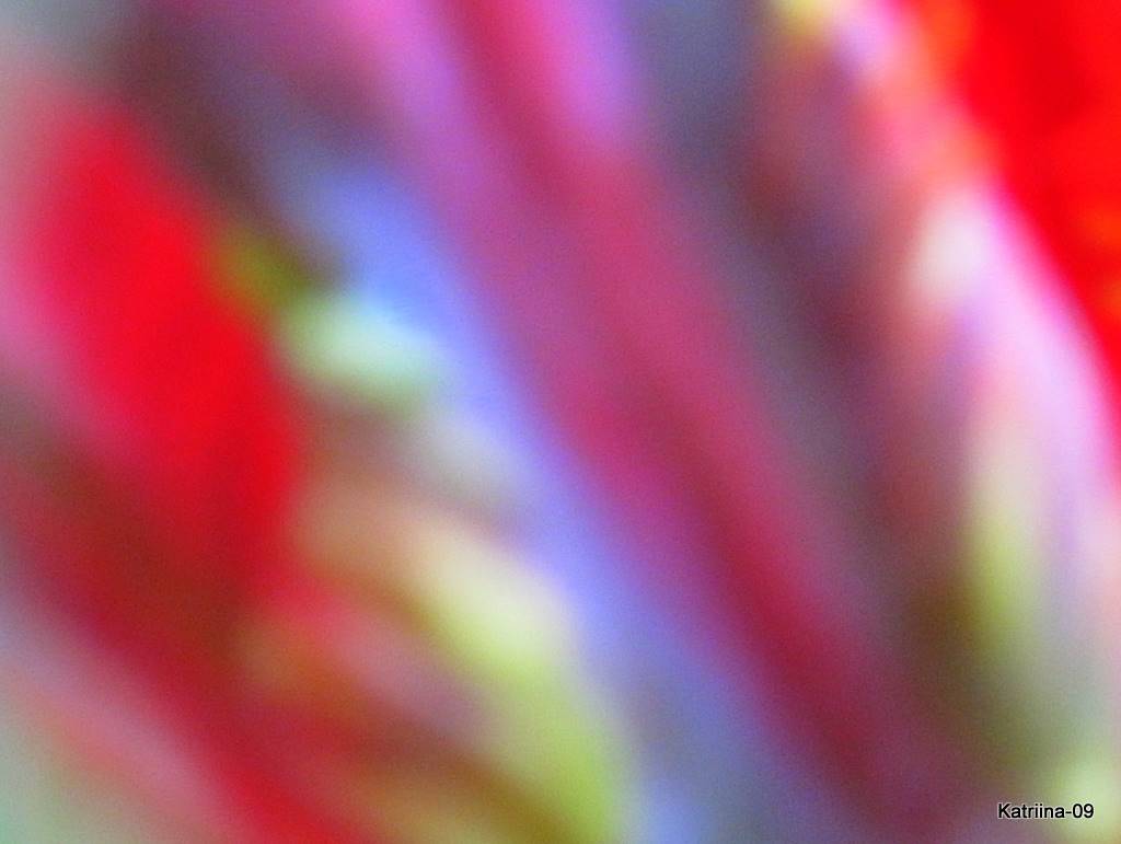 [5.4.2009++ixus+050-2.jpg]