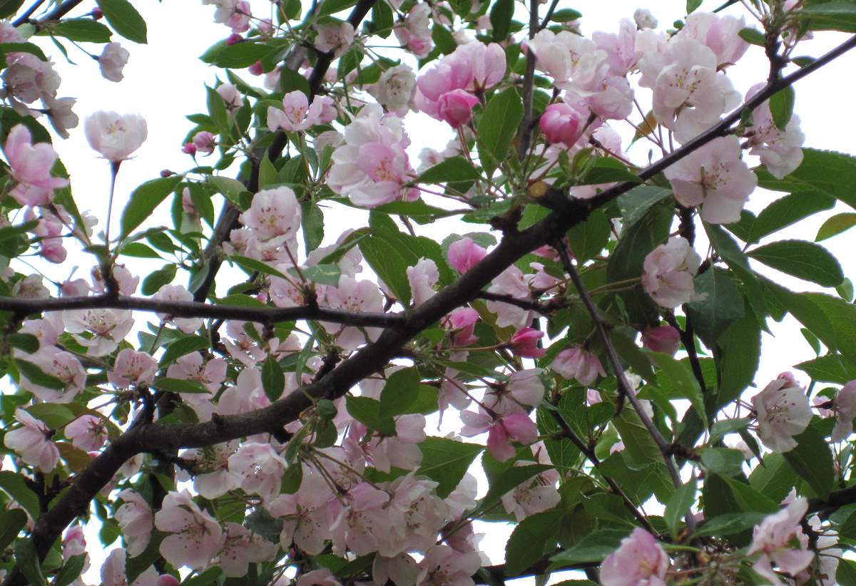 [3.6.2009+039-1.jpg]