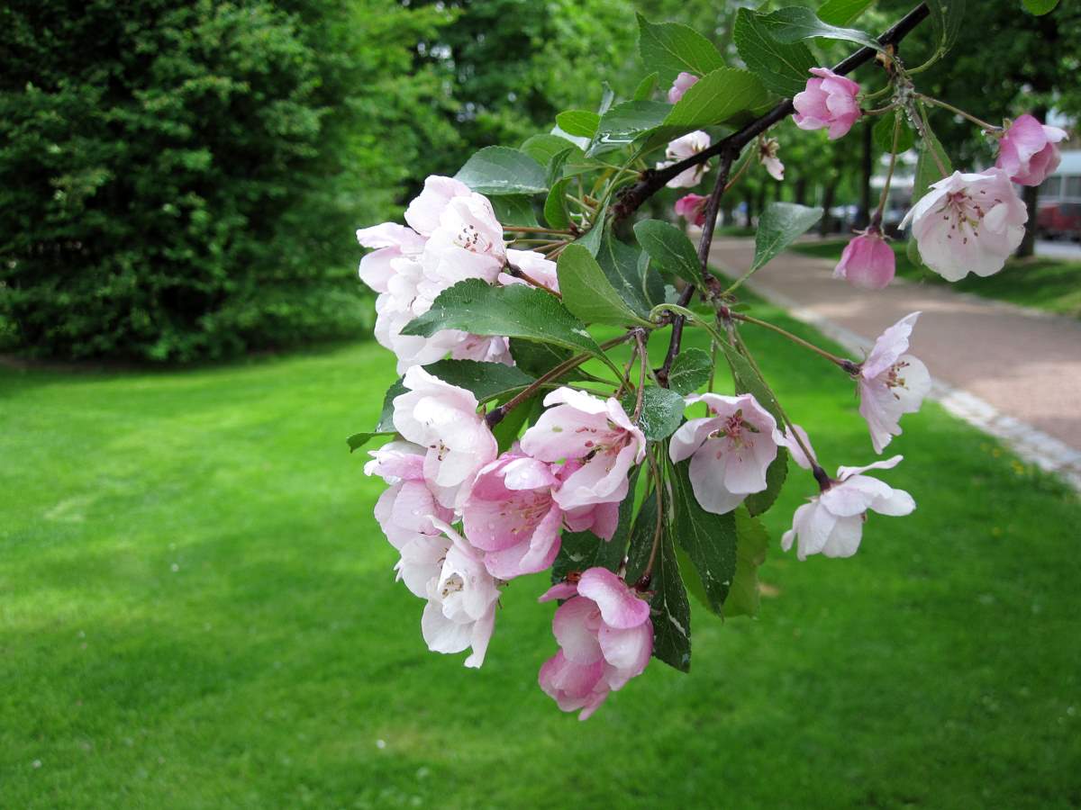 [3.6.2009+036-1.jpg]