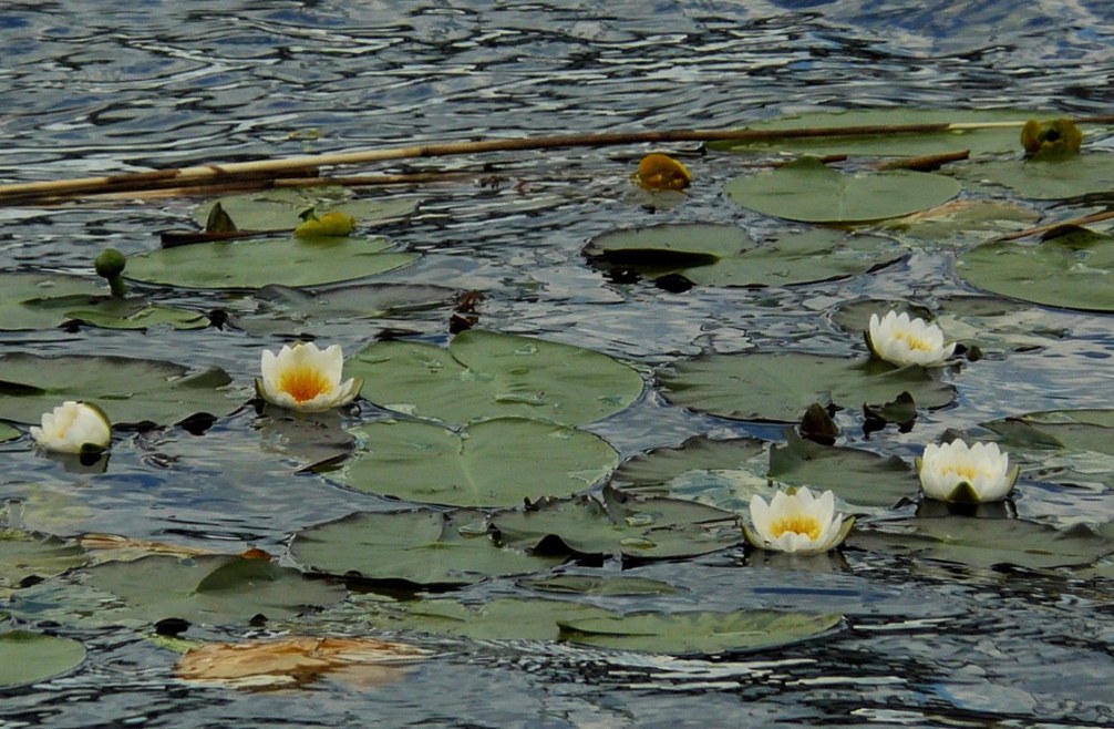 [23.7.2008+090.jpg]