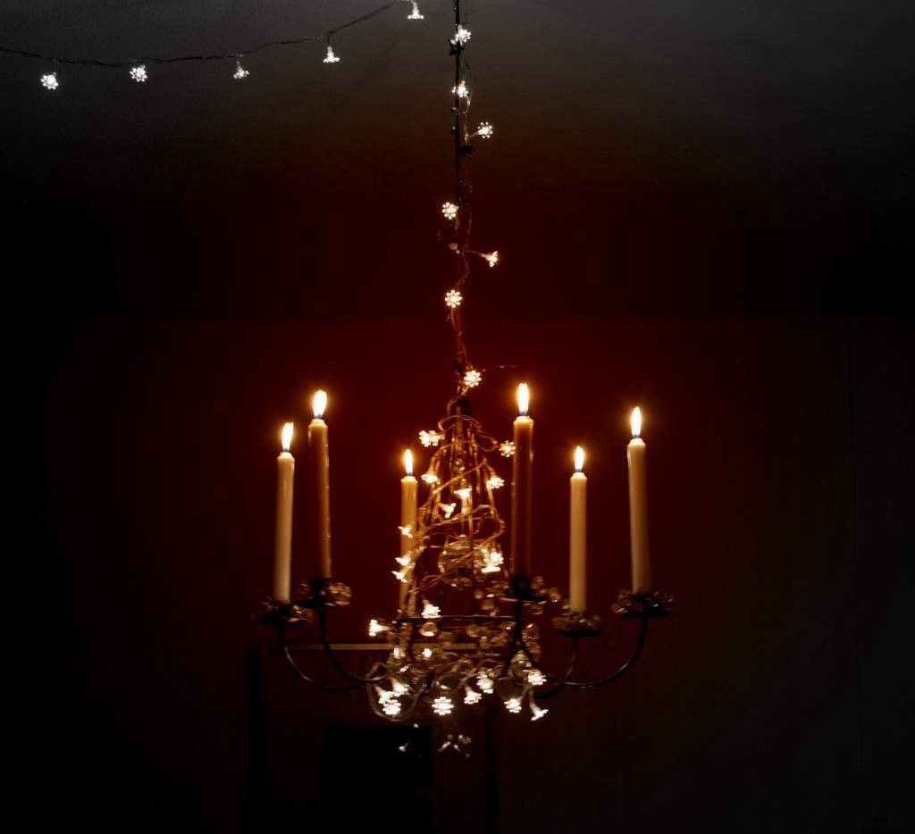 [20091219+(3).JPG]