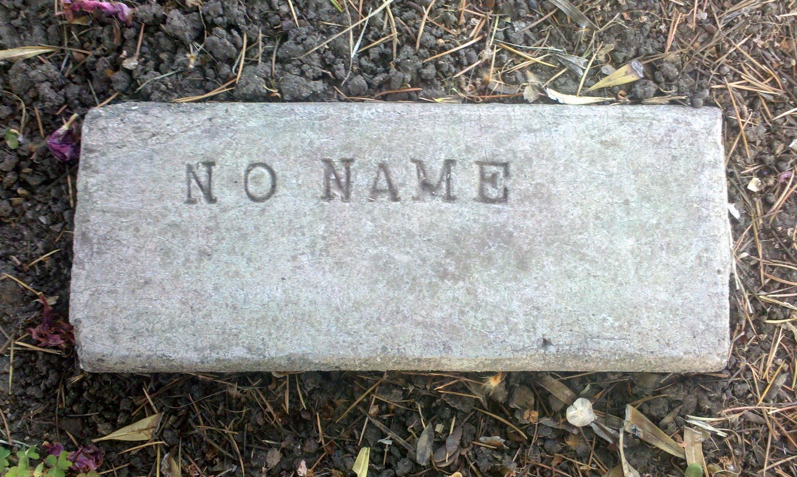 Tails of a Cemetery Bunny Old No Name