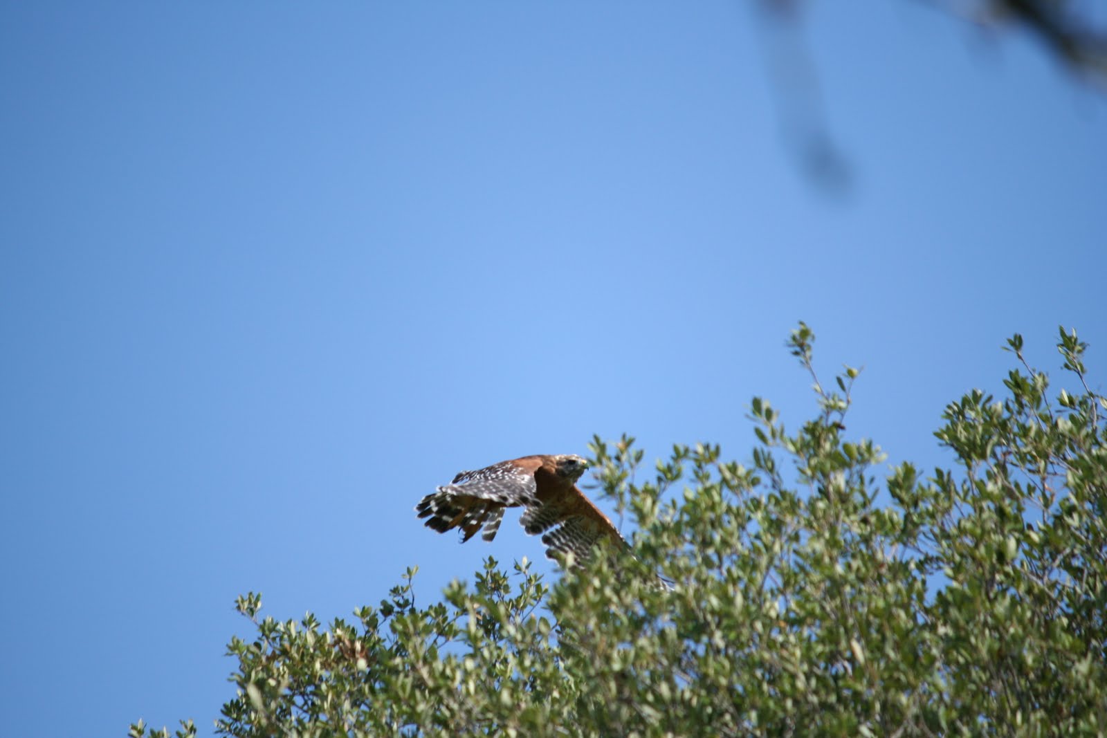 [IMG_5459.JPG]