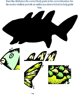 The Rainbow Fish: Parts of Fish Worksheet