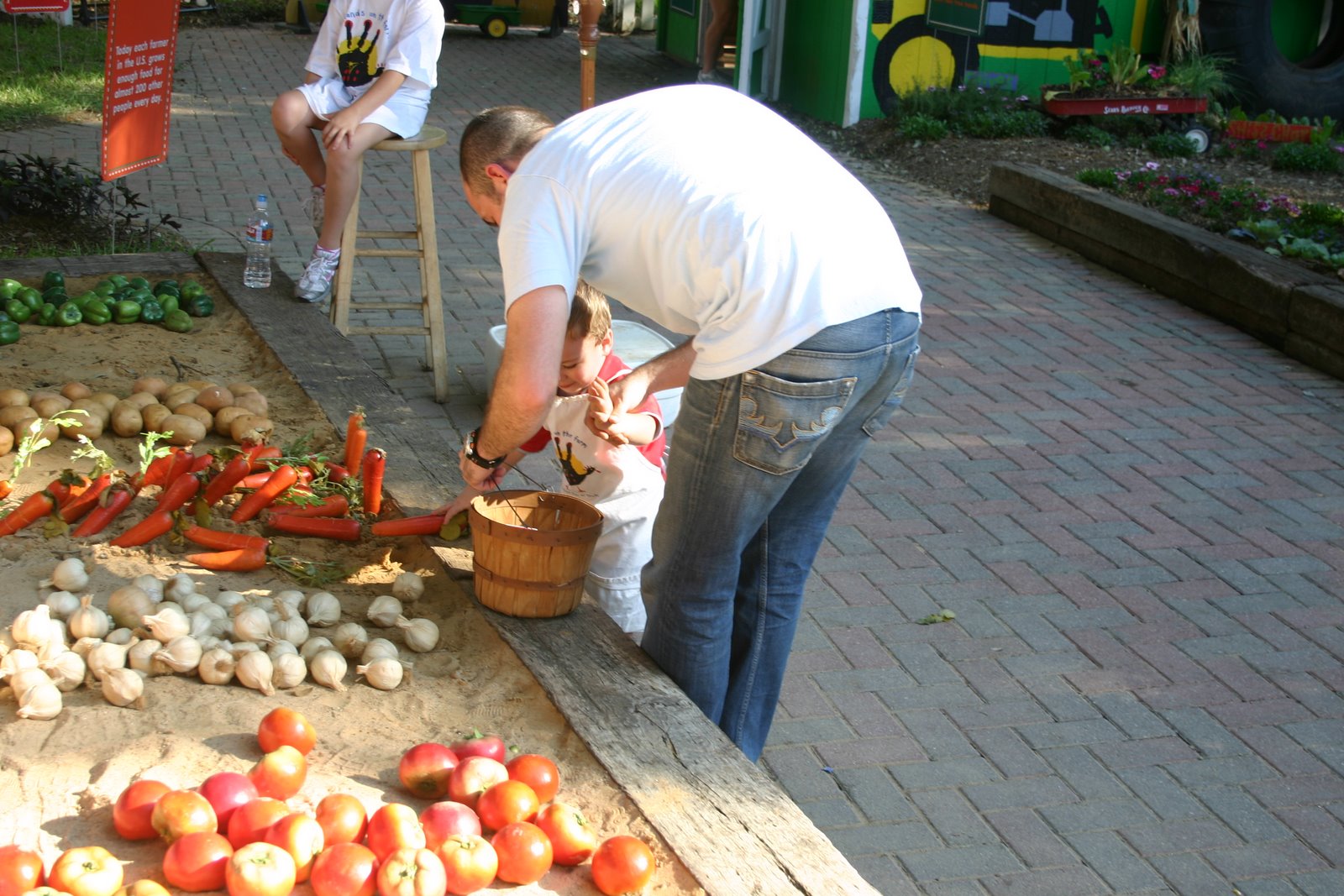 [IMG_6571.jpg]