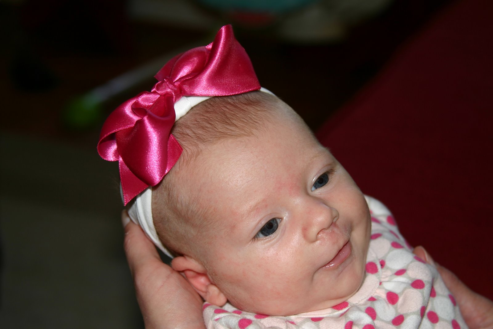 [IMG_0585_edited-1.jpg]