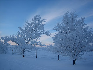 The Bridesmaid Diaries: I'll be 'fill in the blank' for Christmas