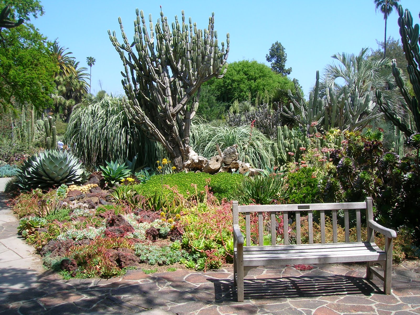 Threads In Time by Pallas Huntington Library & Gardens