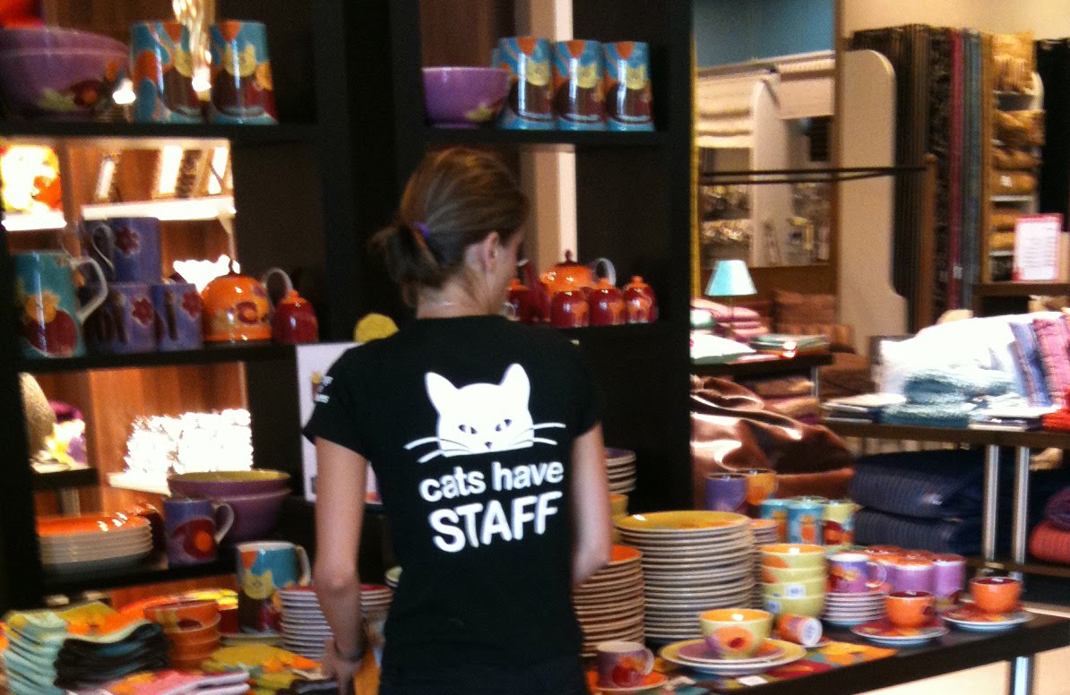 El mirador en la frontera: A loja do gato preto WIN