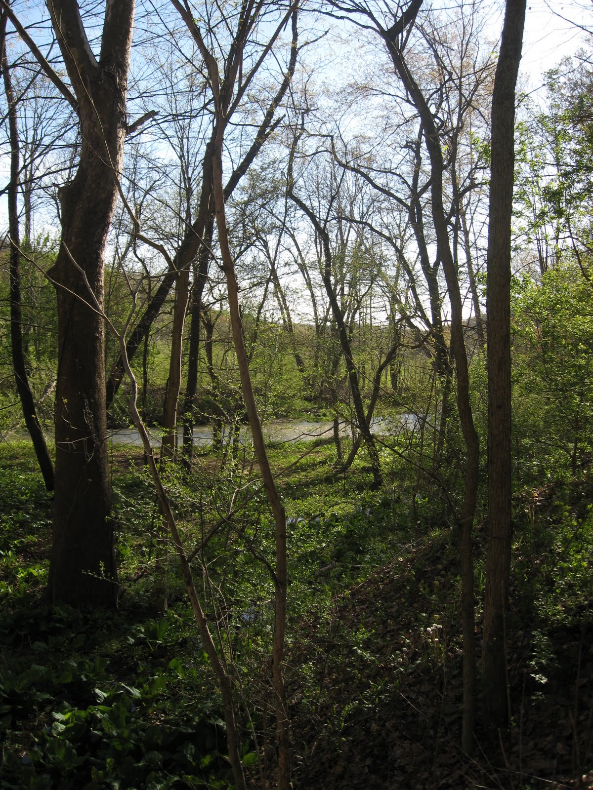 Tall Tales from a Small Town Explorations Rural Valley