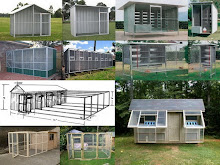 Rumah Kandang Merpati