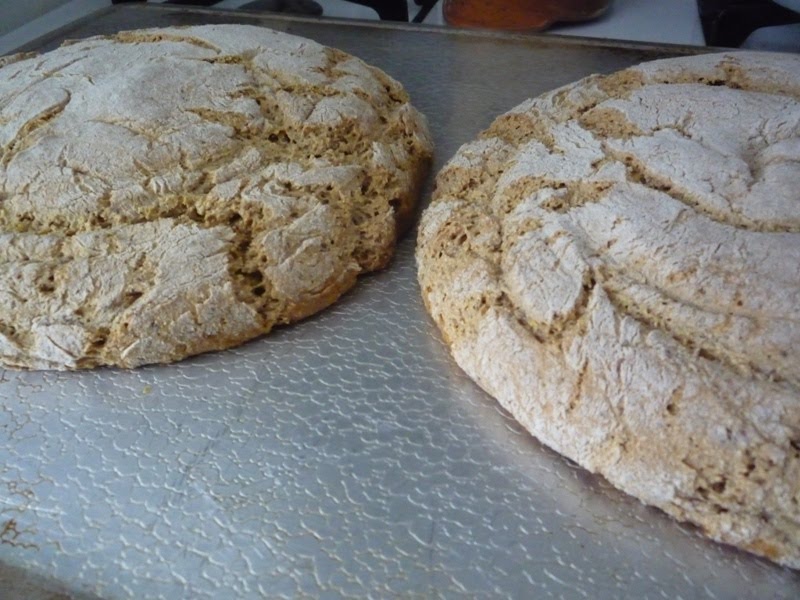 The Hot Cookie Ryaninjun Bread