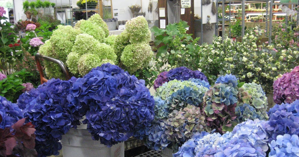 Indian Restaurant Flower Mound: Portland Wholesale Flower Market