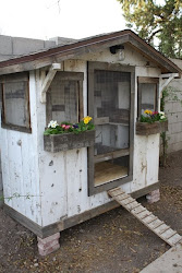 chicken coop coops chickens shed fancy backyard into sheds convert soup garden flowers raising plans tool designs farm boxes roof