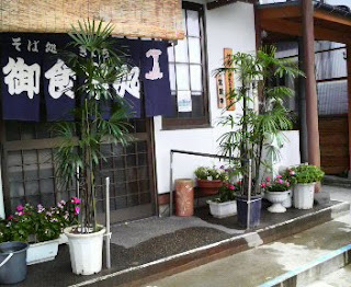 そば処きくちのお店の前に、シュロ竹を2つ置いてみました。