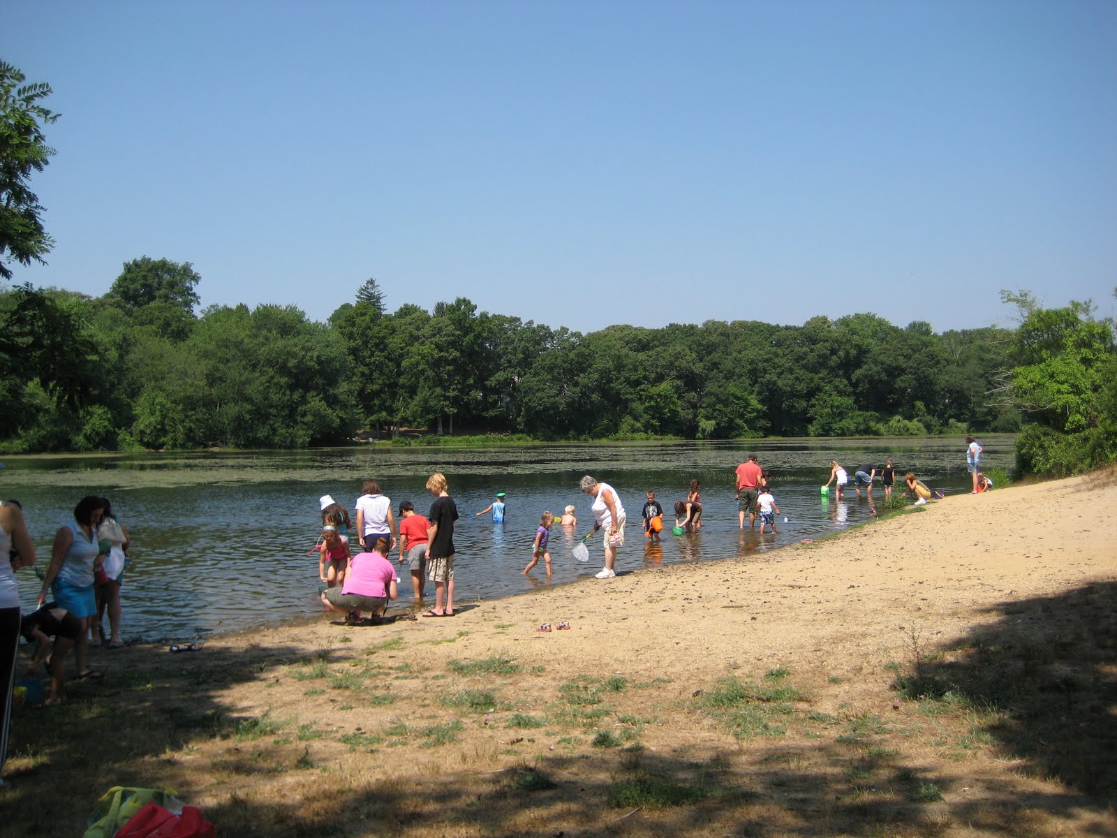 Lower Lake Yaphank at Angel Mann blog