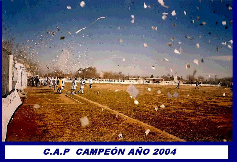 PINTENSE CAMPEÓN 2004