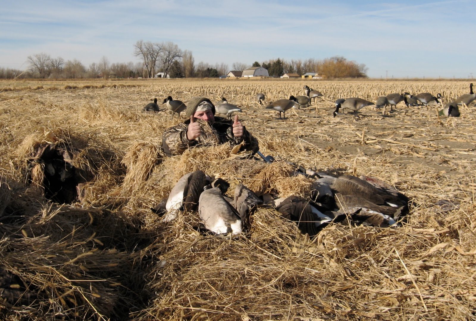 Montana Waterfowl & Walleye