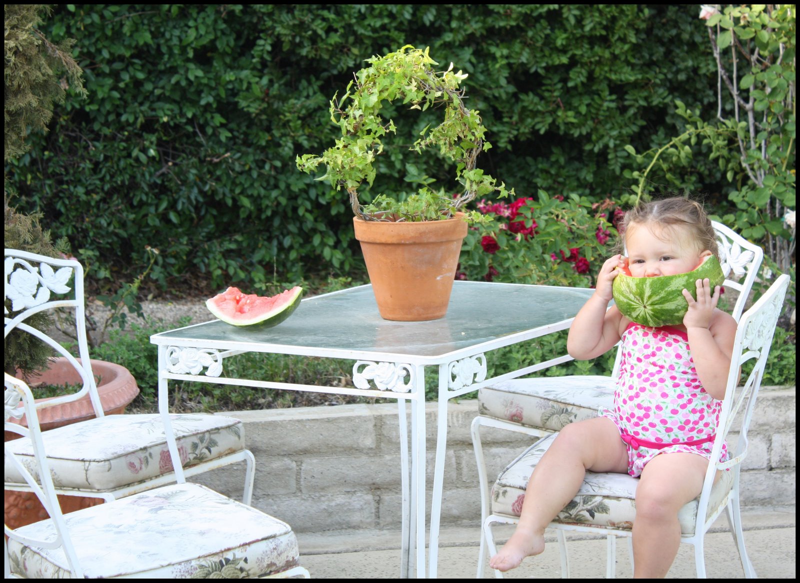 [watermelon+sitting+at+ta.jpg]