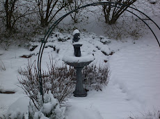 March 2008 Snowfall