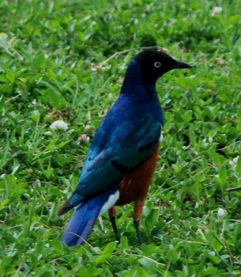 [DSC_0045.JPG]