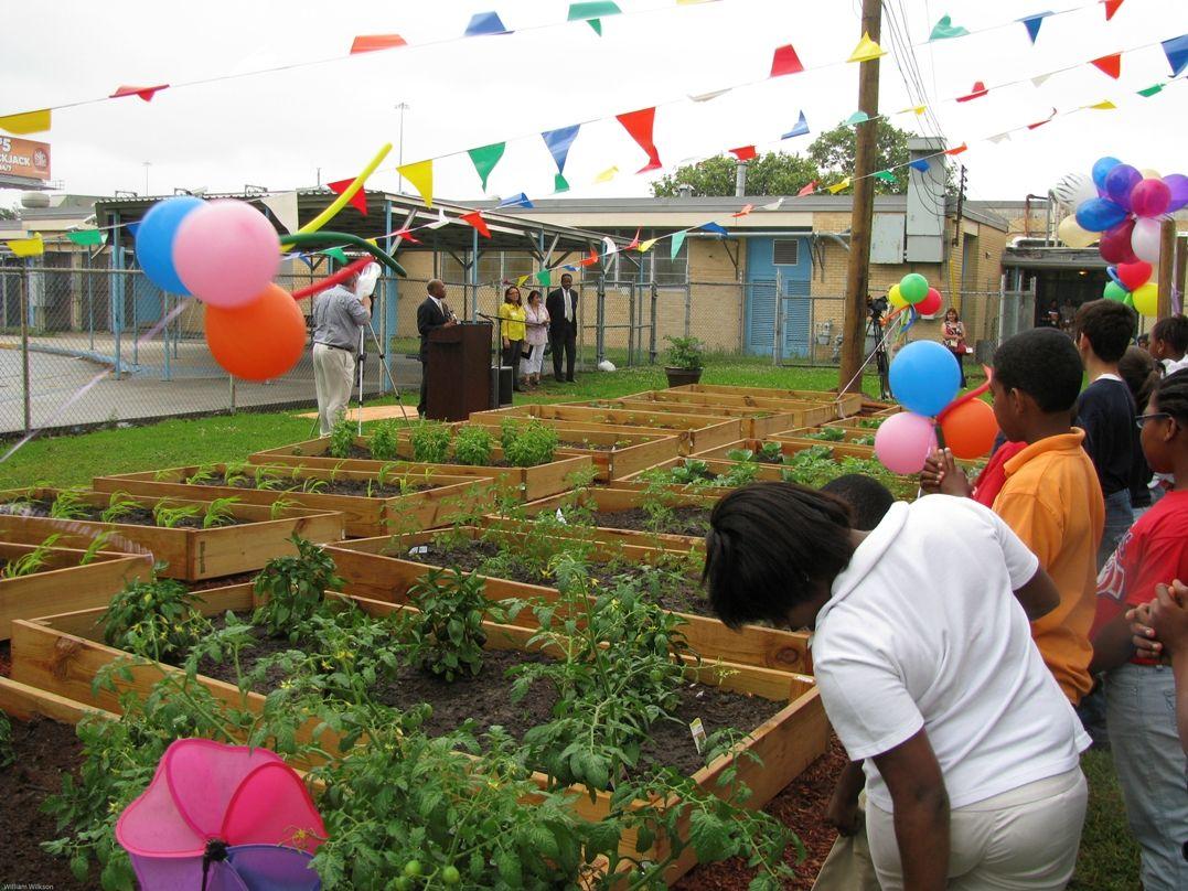 Texas Department of Agriculture Houston School's Community Garden Off to a Great Start