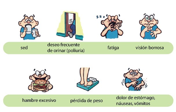 apetito excesivo y sed y páncreas micción frecuente