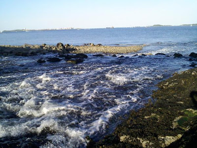 Photography: Castle Island