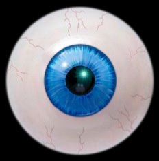[eyeball.jpg]