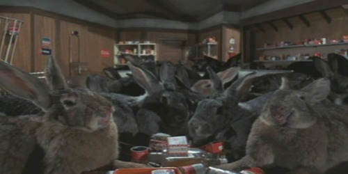 [nightlepus6.jpg]