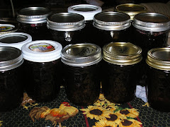 Home Canned Jelly