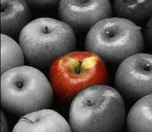 Obsession Photography Project Black And White Photos With Colour Black And White Photos With Colour Accents This Is The Theme Of My Project Will Be Completely Random Obsession A Single
