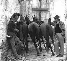 [wayne-fake-horses.jpg]