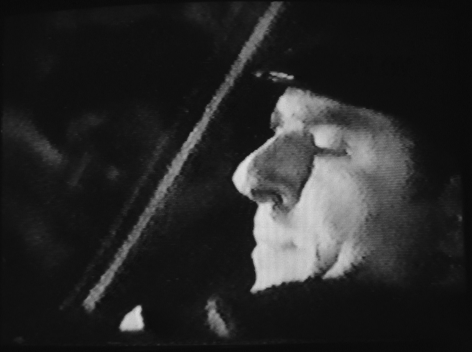 [So_Dark_Night_3_Lewis.jpg]