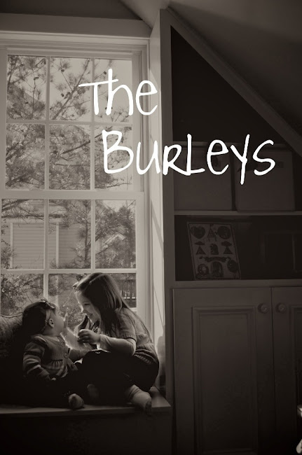 The Burleys