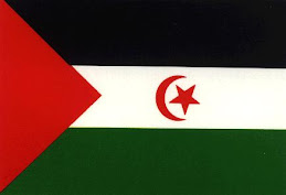 Bandera Saharaui