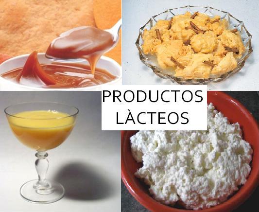 ELABORACION DE PRODUCTOS LÀCTEOS: PRODUCTOS LACTEOS