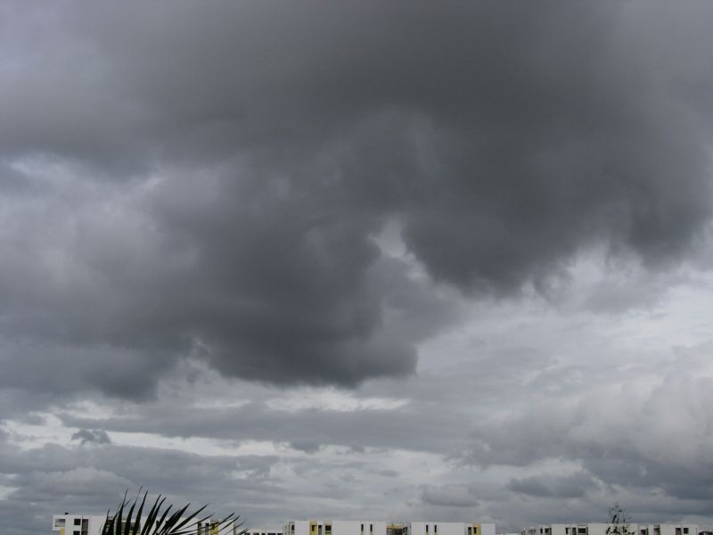 [DSCN3664.JPG]