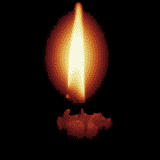 RATICOS INOLVIDABLES El Sol Se Sumerge En El Oc ano RATICOS INOLVIDABLES El Sol Se Sumerge En El Oc ano